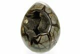 Septarian Dragon Egg Geode - Ammonite Cross Sections #364462-2